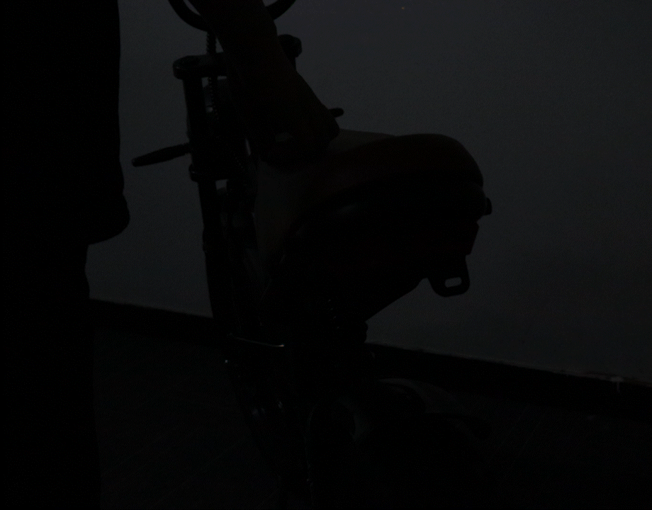 Rear Light with Turn Signal